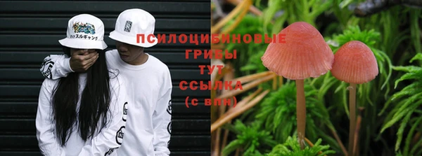 трава Балабаново